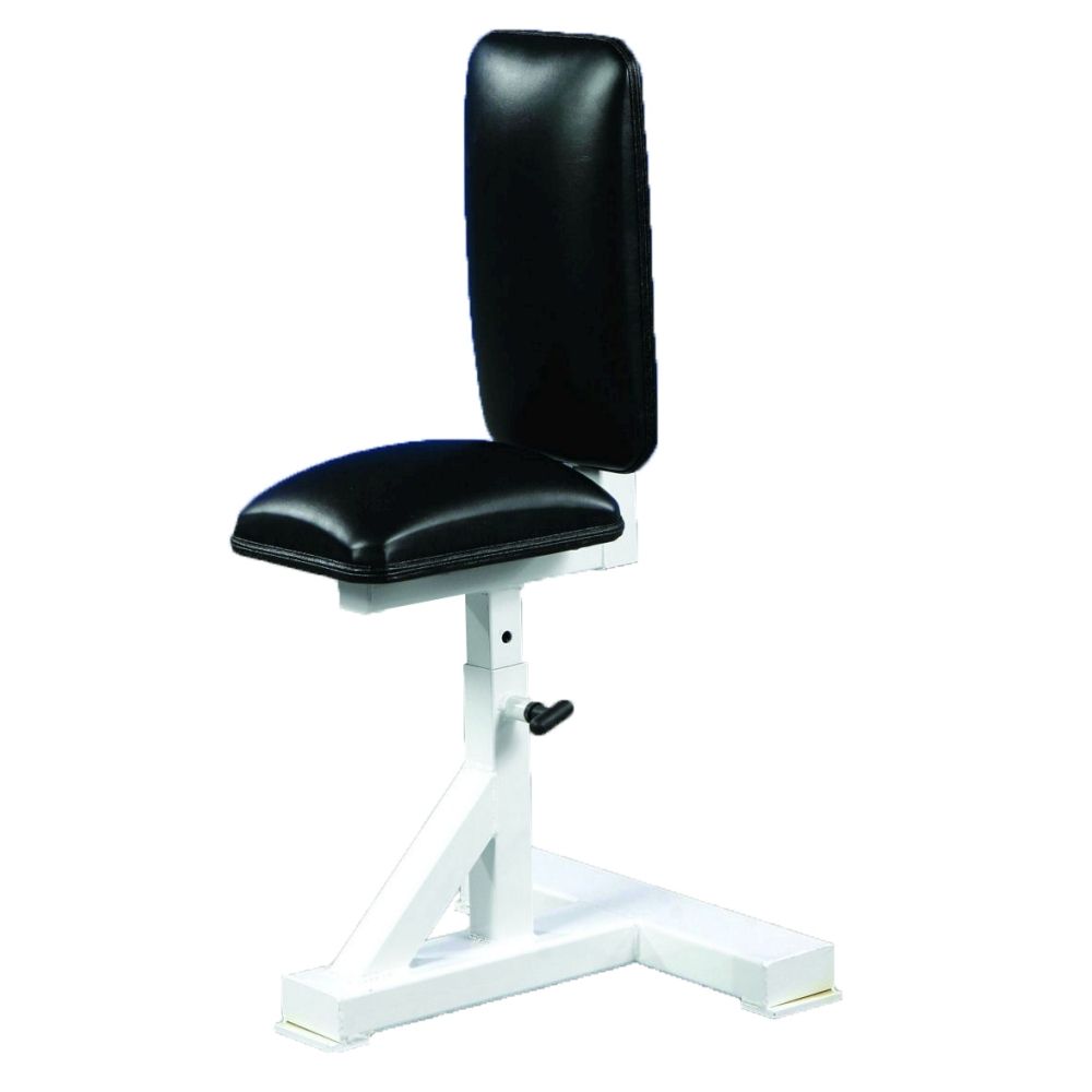 Pro Maxima FW66 Shoulder Press Stool w/ Reversible Seat Exercise & Wellness Gym Equipment