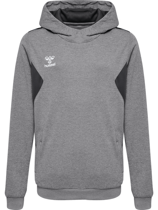 Hummel Youth Authentic Pl Hoodie Hummel
