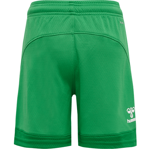 Hummel Youth Lead Poly Training Shorts Hummel
