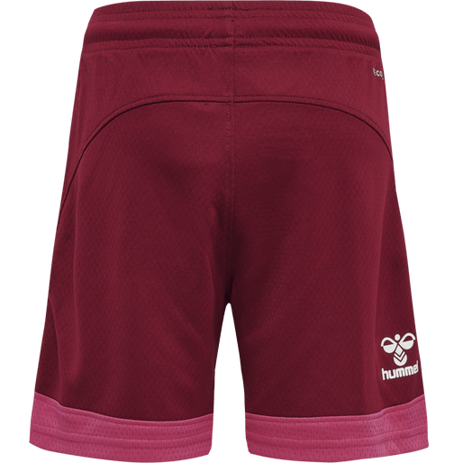 Hummel Youth Lead Poly Training Shorts Hummel
