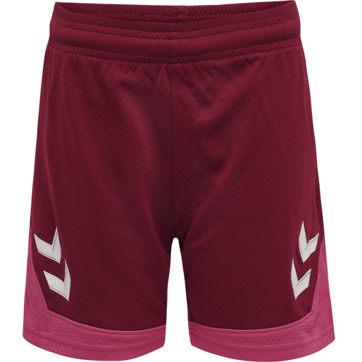 Hummel Youth Lead Poly Training Shorts Hummel