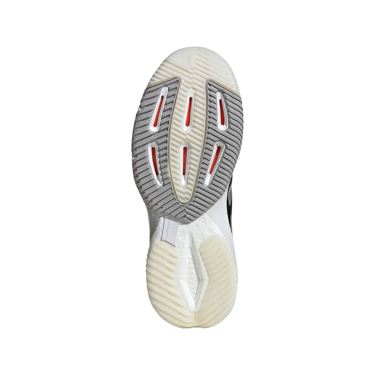 adidas Women's Crazyflight 5 Volleyball Shoes Volleyball Footwear Adult