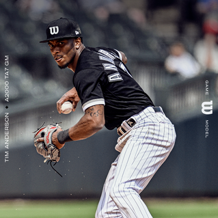 2024 Wilson A2000 Tim Anderson 11.5" Game Model Infield Baseball Glove Baseball Gloves & Mitts All