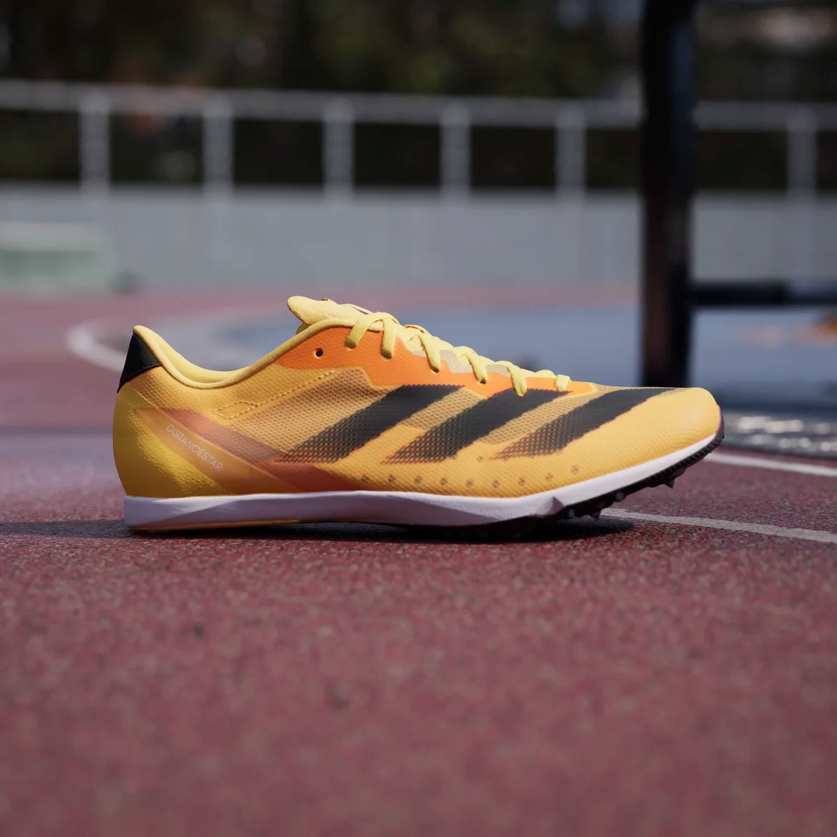 adidas Men's Distancestar Track & Field Spike Shoes Track & Field Footwear Adult