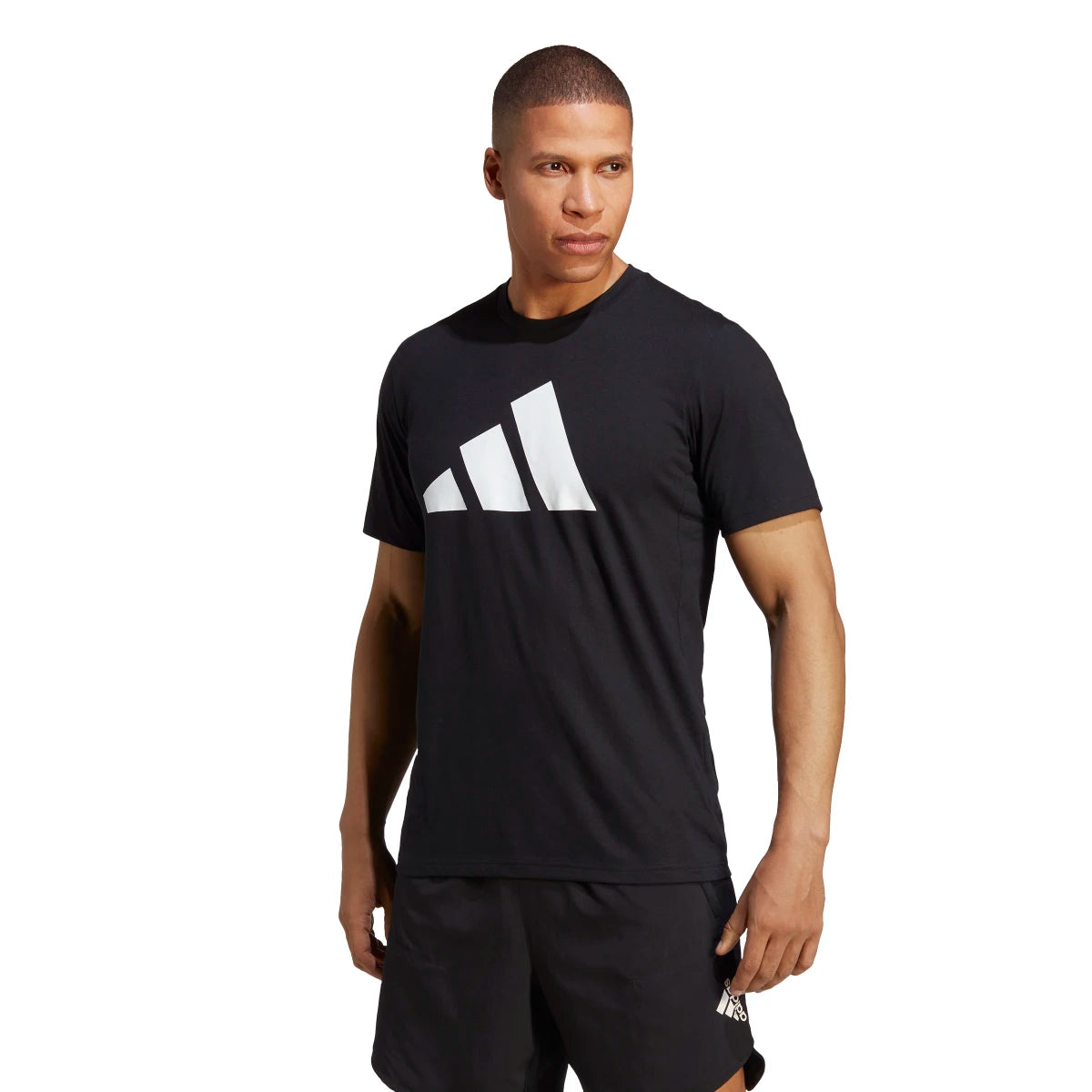 adidas Men's Train Essentials Feelready Logo Training T-Shirt Mens Apparel Shirts & Tops
