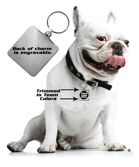 Little Earth Chicago Bulls Pet Collar Charm Fan Gear NBA Chicago Bulls