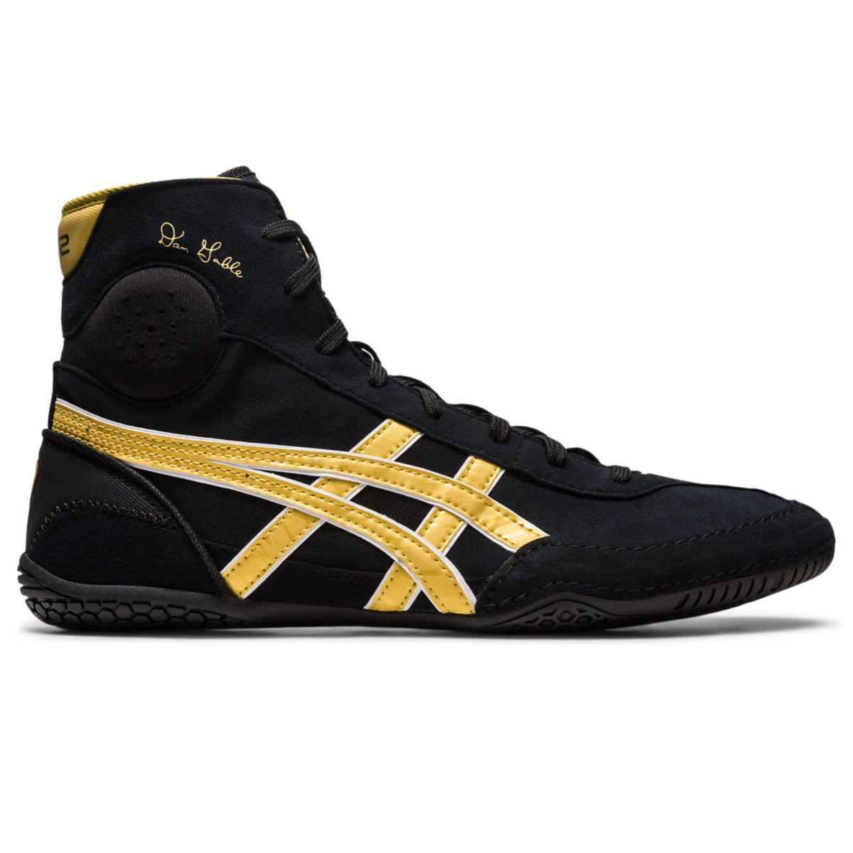 Asics Men's Dan Gable Evo 3 Wrestling Shoes Wrestling Footwear Adult