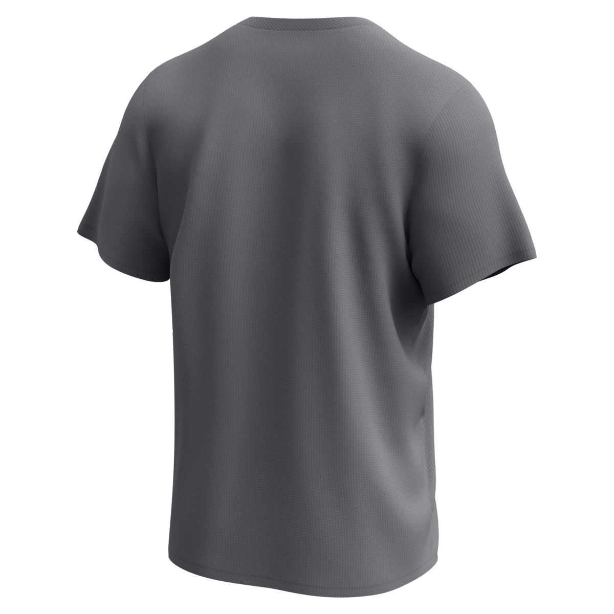 Nike Washington Nationals Men's Crew Neck Synthetic Tee Fan Gear MLB Washington Nationals