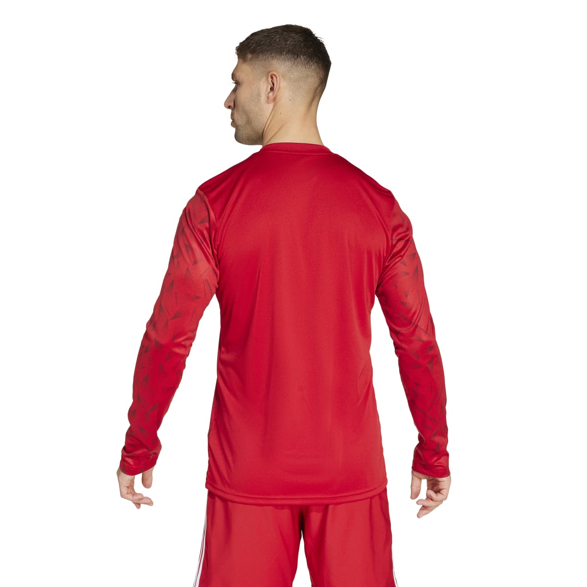 adidas Men's Team Icon 25 Long Sleeve Jersey-4
