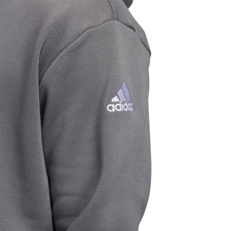 adidas Men's Fleece Hoodie Mens Apparel Sweatshirts & Fleece