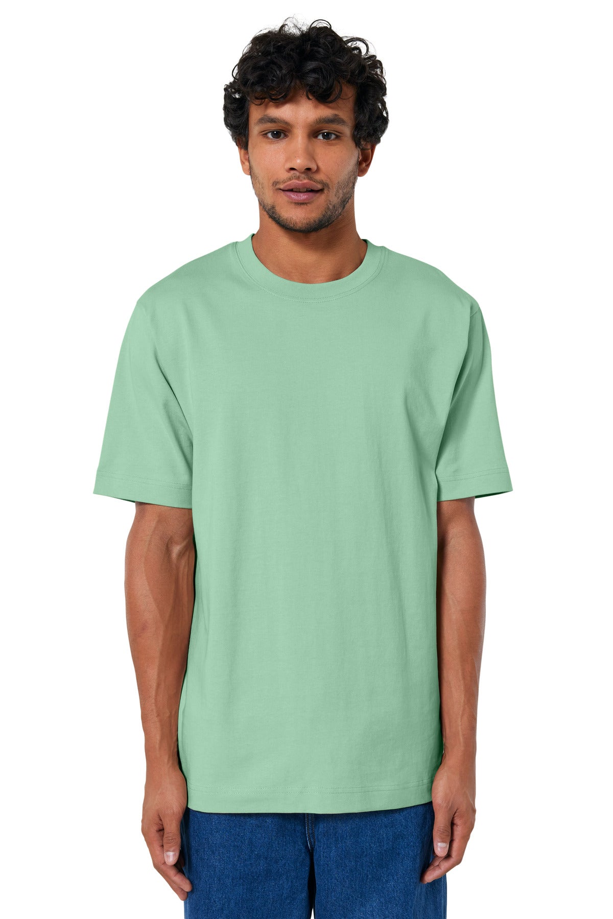 Stanley/Stella Men's Freestyler Heavyweight Tee SXU018