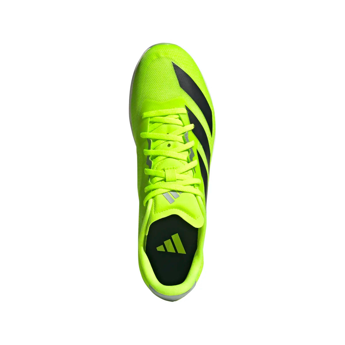 adidas Men's Distancestar Track & Field Spike Shoes Track & Field Footwear Adult
