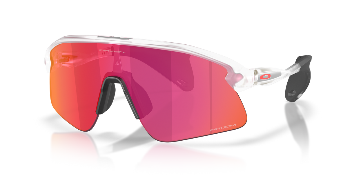 Oakley Stunt Devil Sunglasses-2