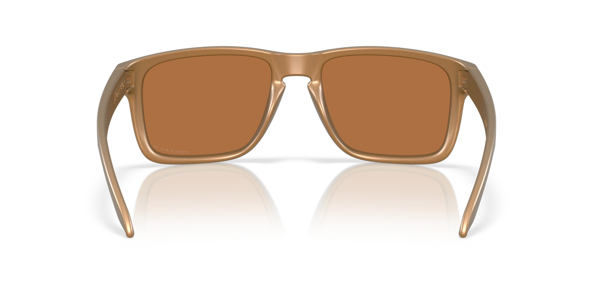 Oakley Holbrook XL Glasses-4
