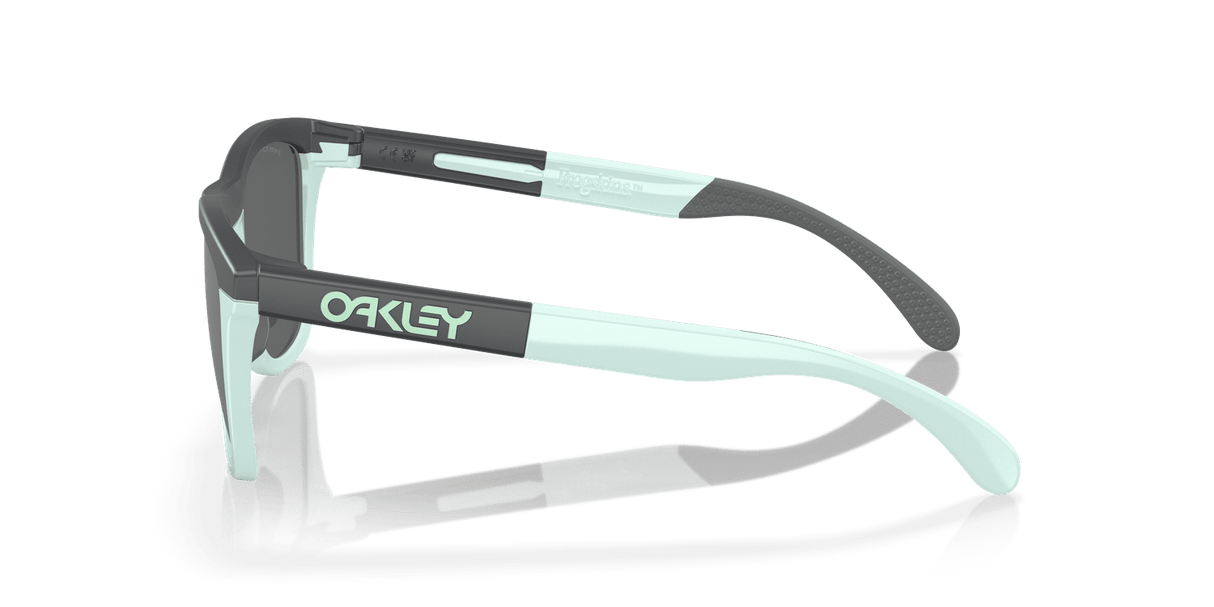 Oakley Frogskins Range Sunglasses Unisex Accessories Sunglasses & Eyewear