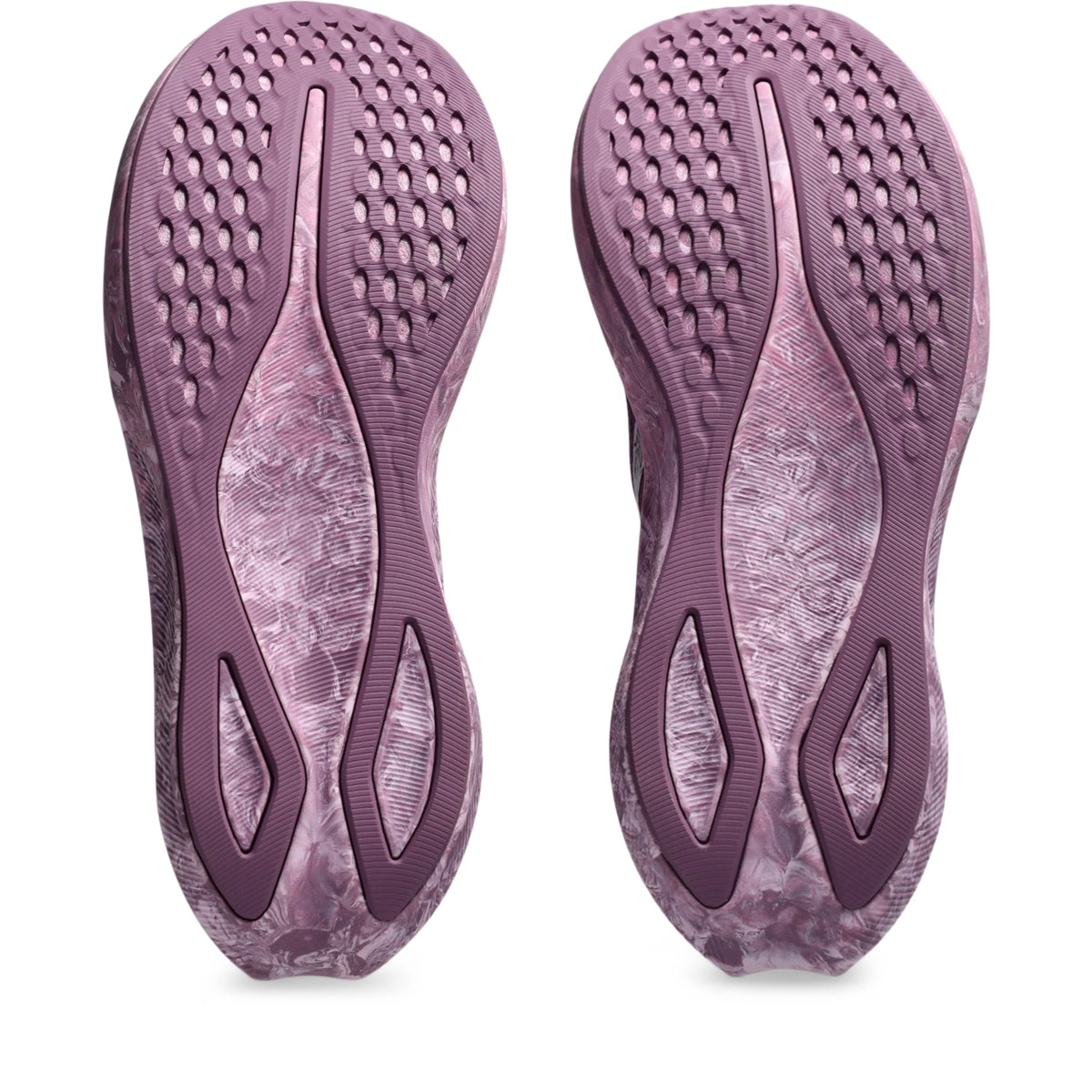 Asics Women's Noosa Tri 16 Running Shoes Womens Footwear Training & Running