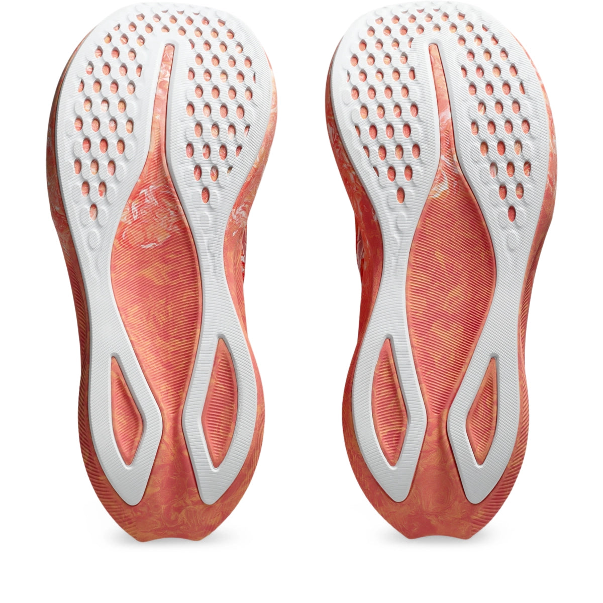 Asics Women's Noosa Tri 16 Running Shoes Womens Footwear Training & Running