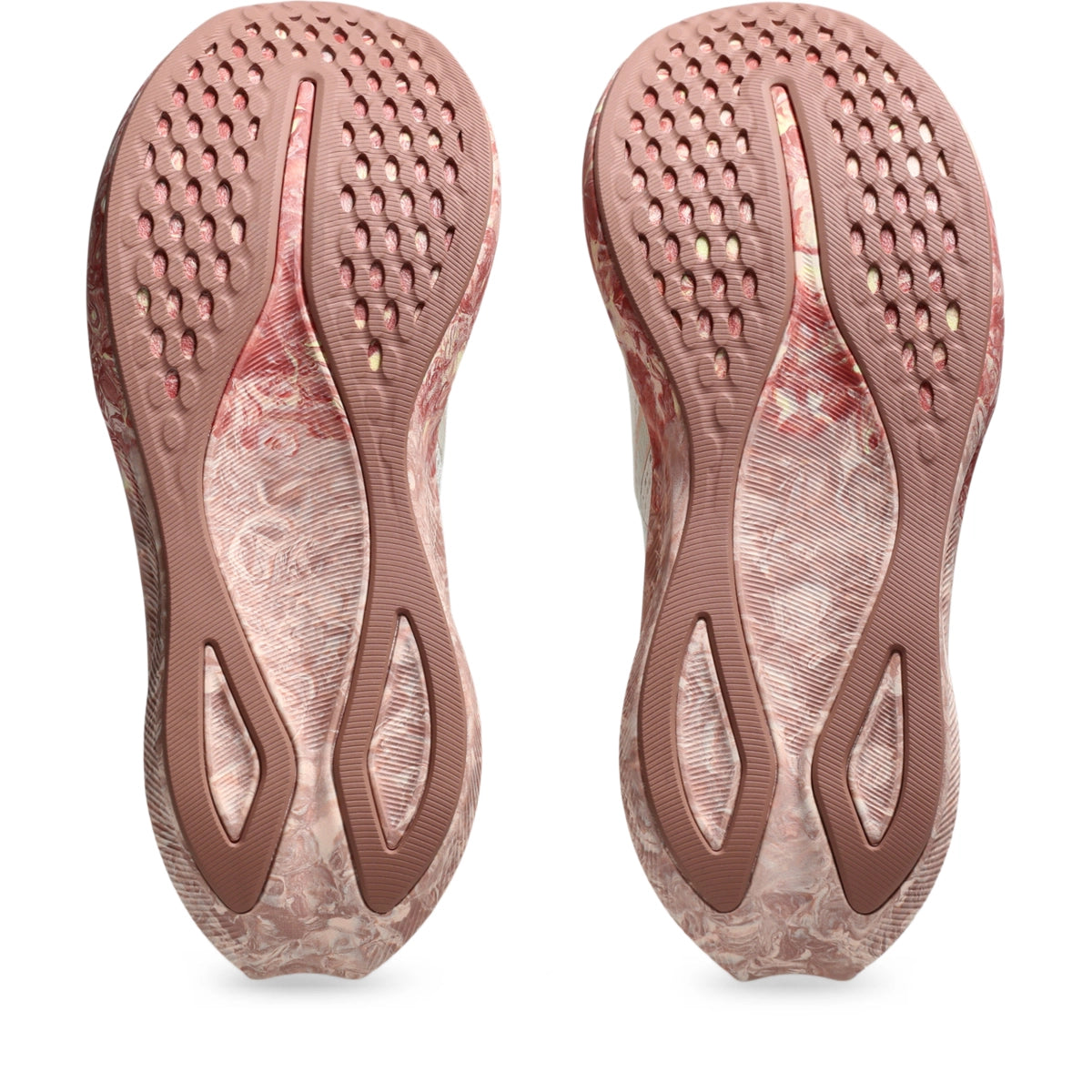 Asics Women's Noosa Tri 16 Running Shoes Womens Footwear Training & Running