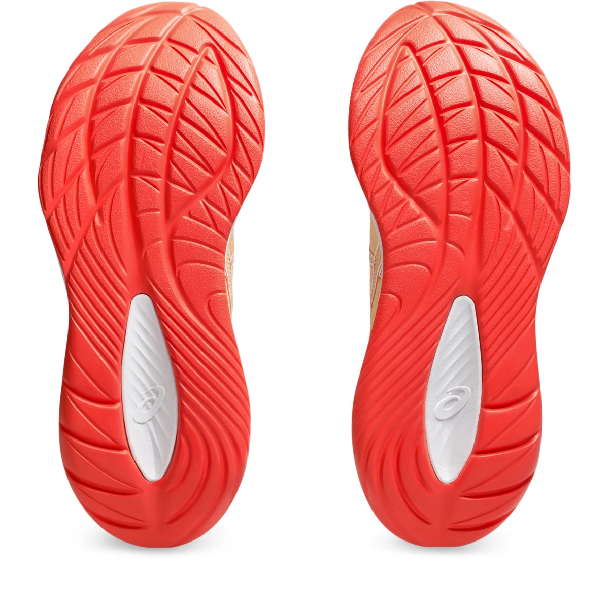 Asics Women's Gel-Cumulus 27 Running Shoes Womens Footwear Training & Running