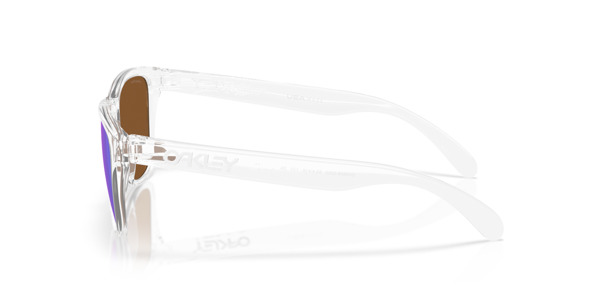 Oakley Frogskins S Glasses-3