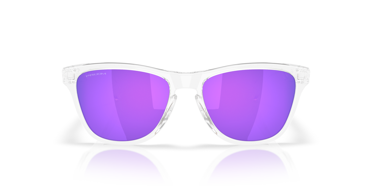 Oakley Frogskins S Glasses-8