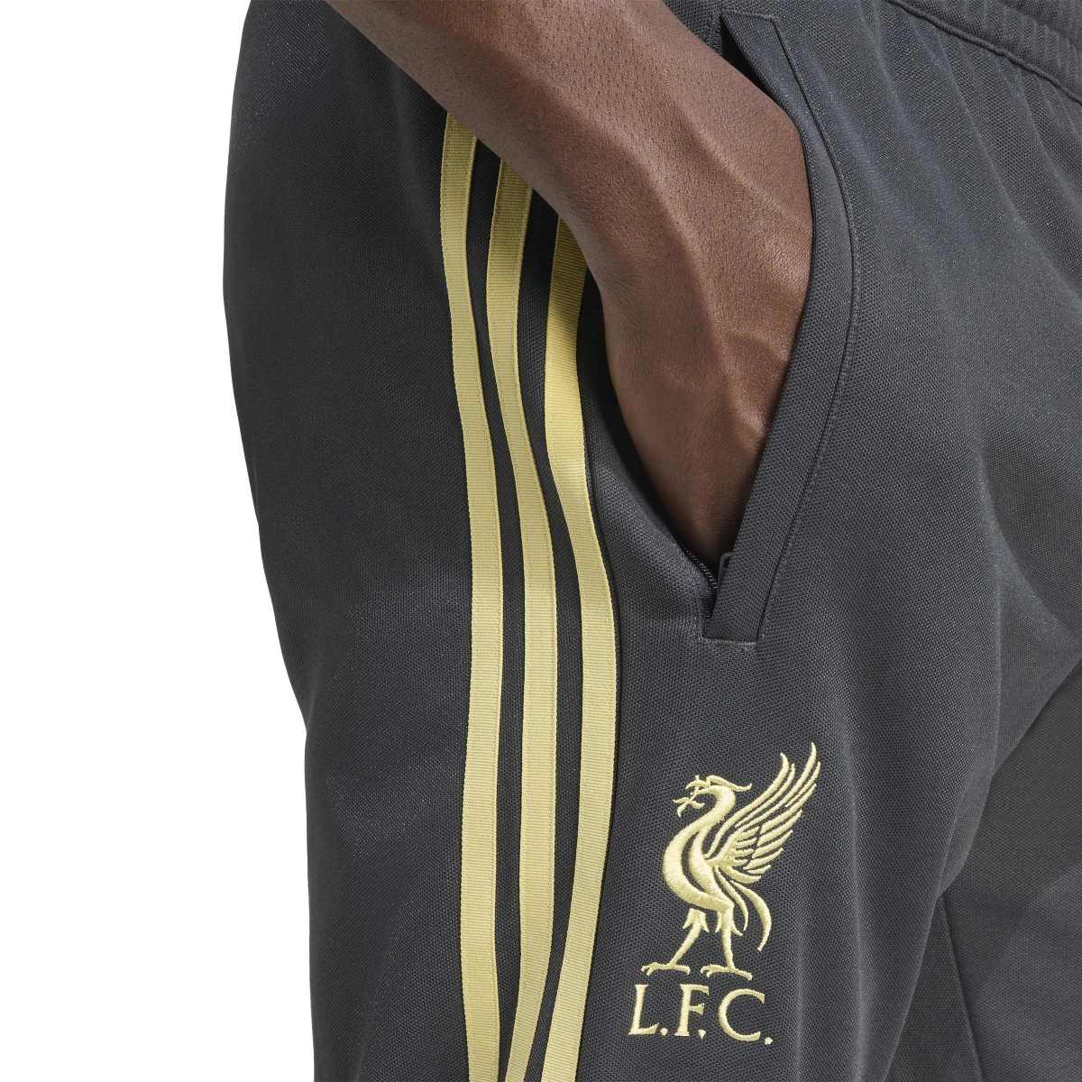 adidas Men's Liverpool FC LFSTLR Track Pants-5