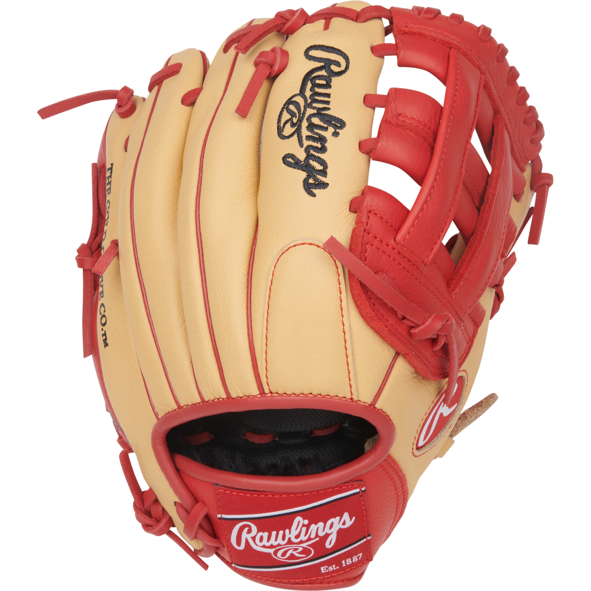 Rawlings Select Pro Lite 11" Infield Baseball Glove-2