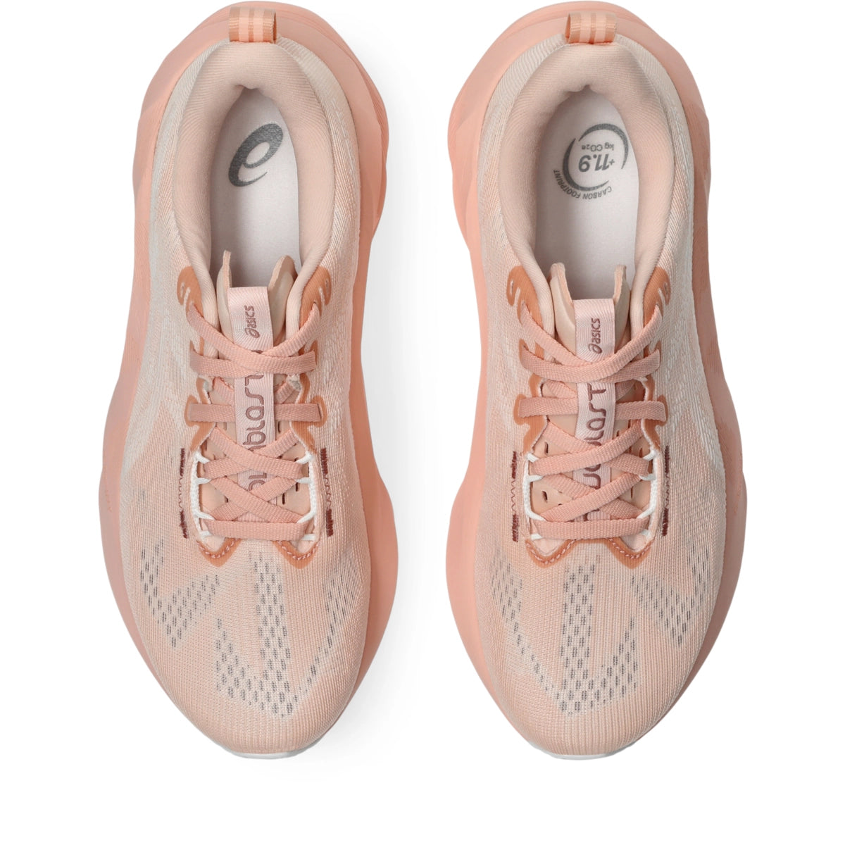 Asics Women's Novablast 5 Running Shoes Womens Footwear Training & Running