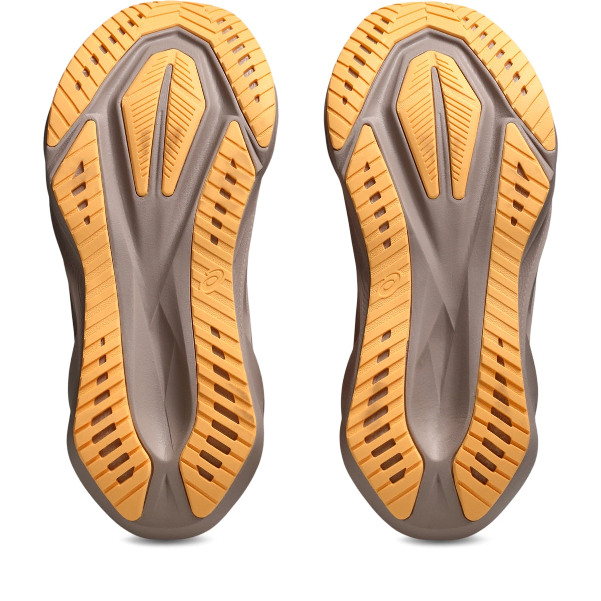 Asics Women's Novablast 5 Running Shoes Womens Footwear Training & Running