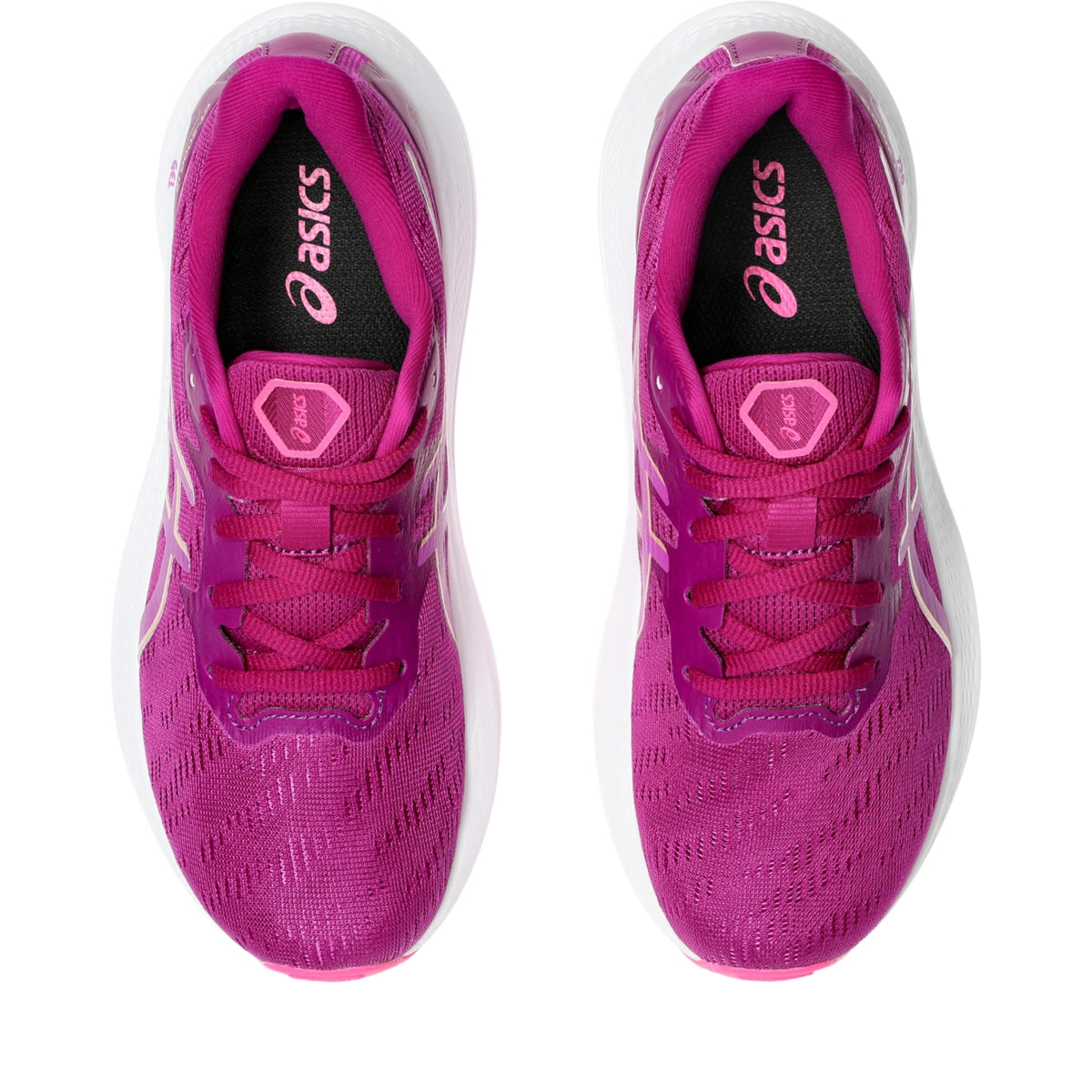 Asics Youth GT-2000 12 Grade School Running Shoes Youth Footwear Training & Running