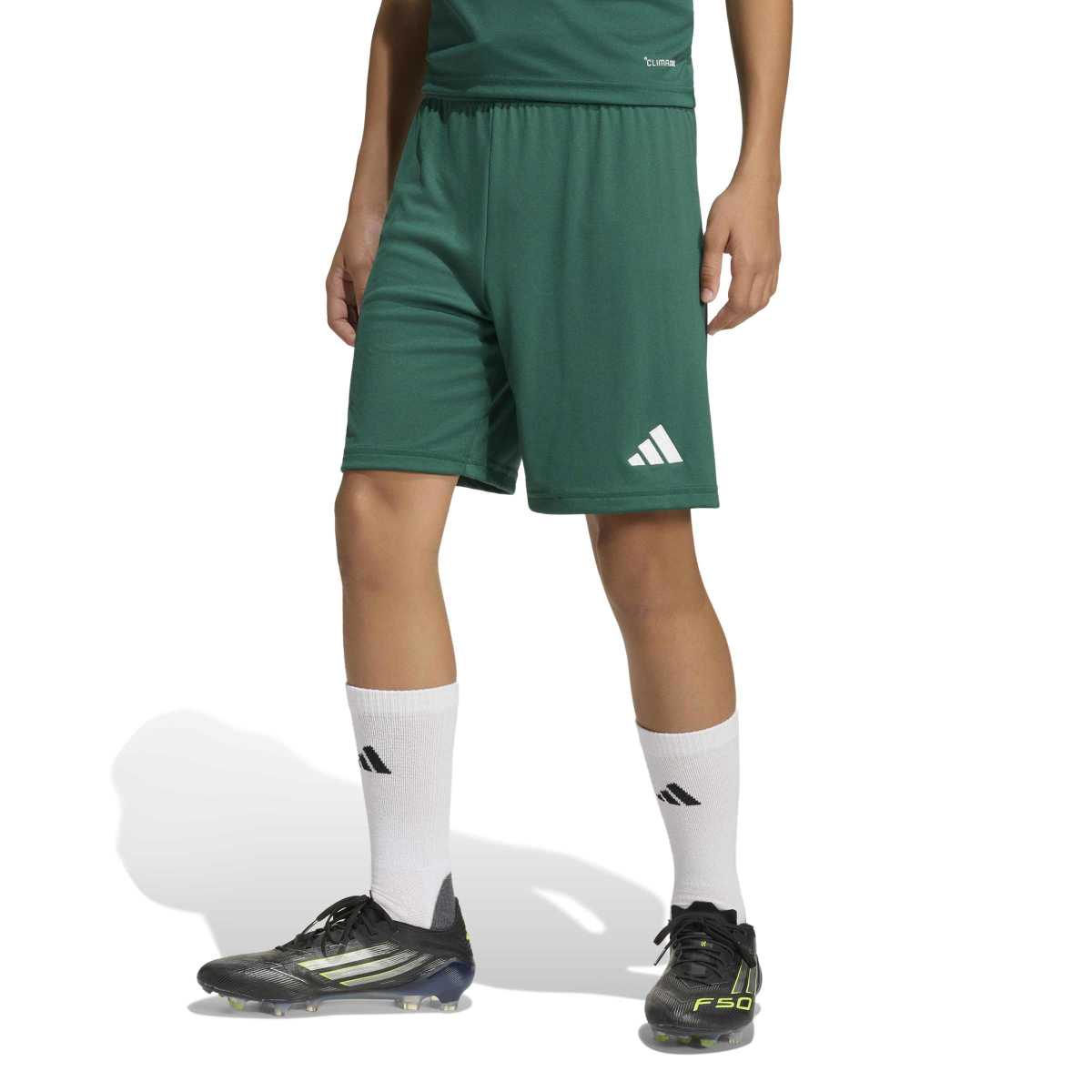 adidas Youth Entrada26 Soccer Shorts-1