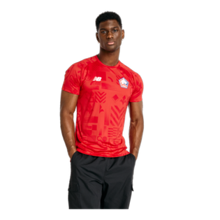 New Balance Men's Lille LOSC Match Jersey
