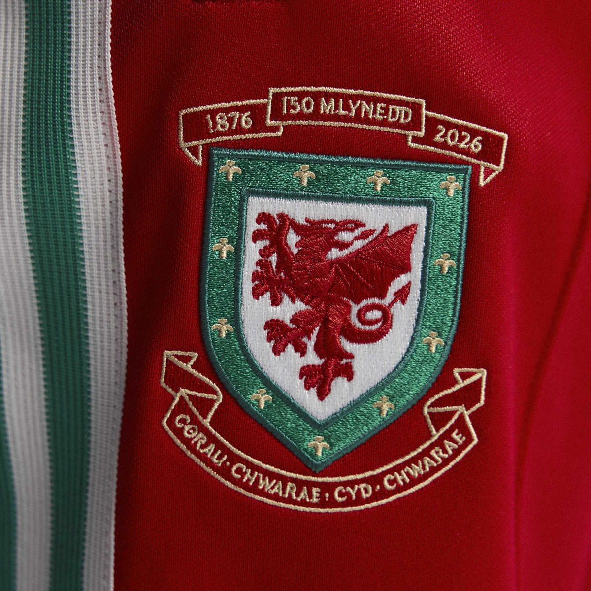 adidas Men's Wales 150 Years Anniversary Track Pants-7