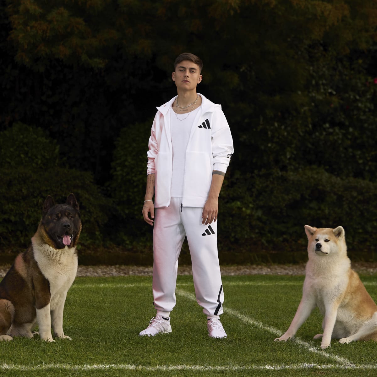 adidas Men's Z.N.E. Pants Tall Mens Apparel Pants & Sweatpants