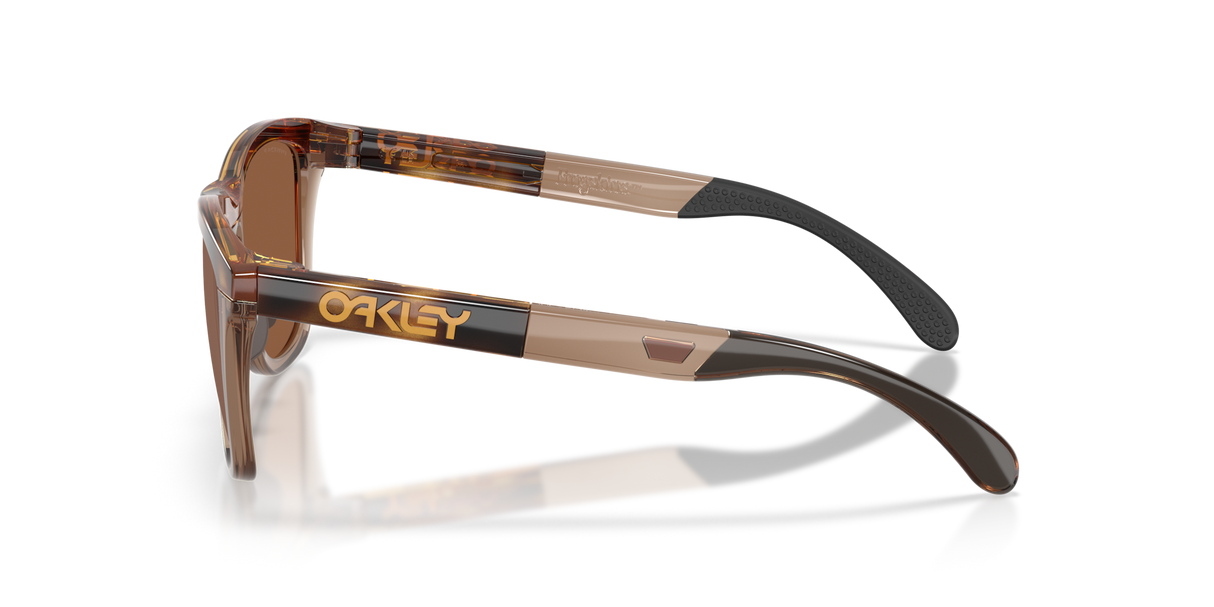 Oakley Frogskins Range XL Glasses-3