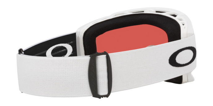 Oakley Flow Scape AF L Snow Goggles-9