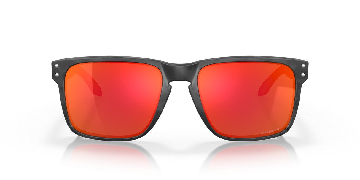 Oakley Holbrook XL Glasses-12