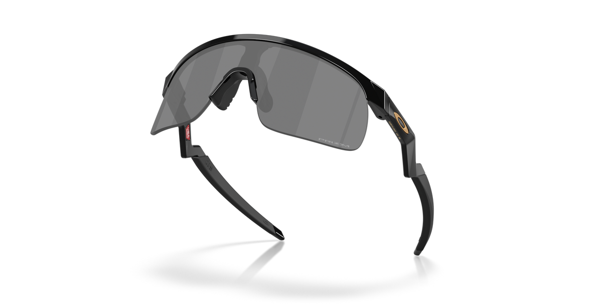 Oakley Resistor Sunglasses-5