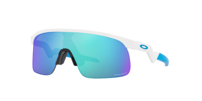 Oakley Resistor Sunglasses-5