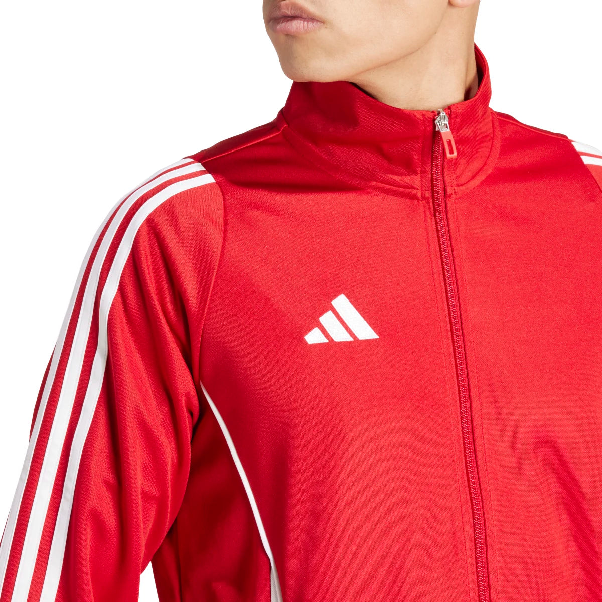 adidas Men's Tiro 24 Soccer Training Jacket Soccer Uniforms & Apparel All