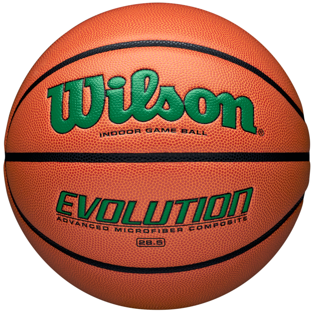 Wilson Adult Evolution Game Ball Basketball-1