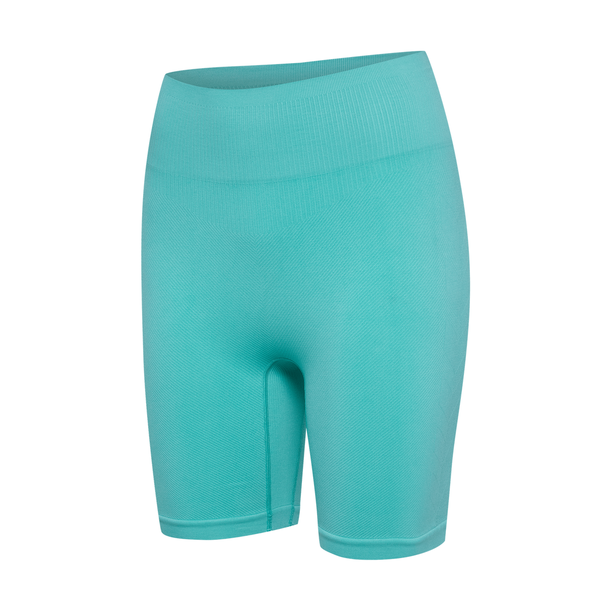 hummel Women's Alive Seamless High Waist Shorts-1