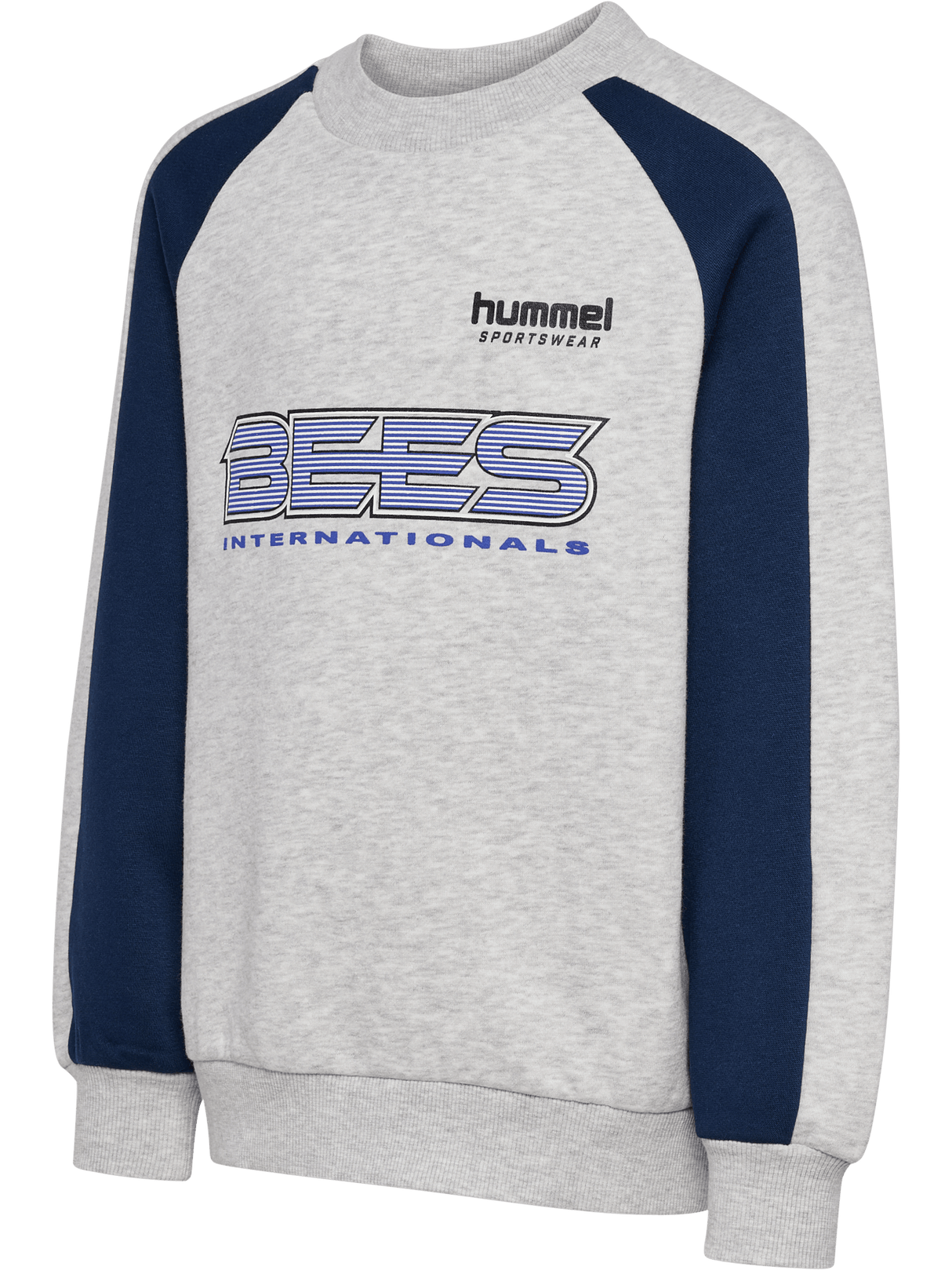 hummel Youth Oversized Iconic Crew Bees-1