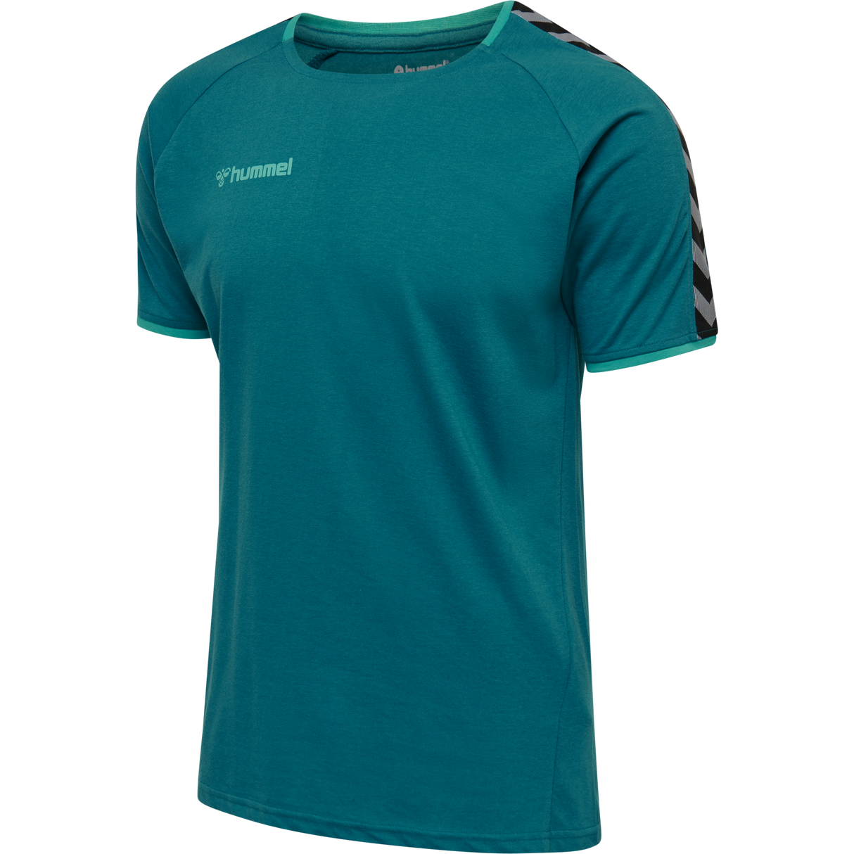 hummel Men's Authentic Training Tee-1