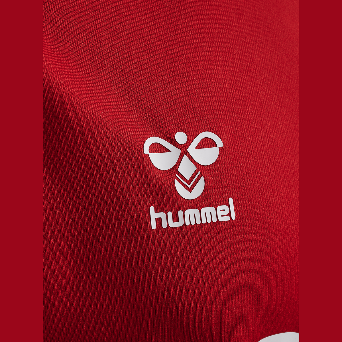 hummel Unisex Rangers Fc 2ND Away 19/20 Jersey Short Sleeve-4