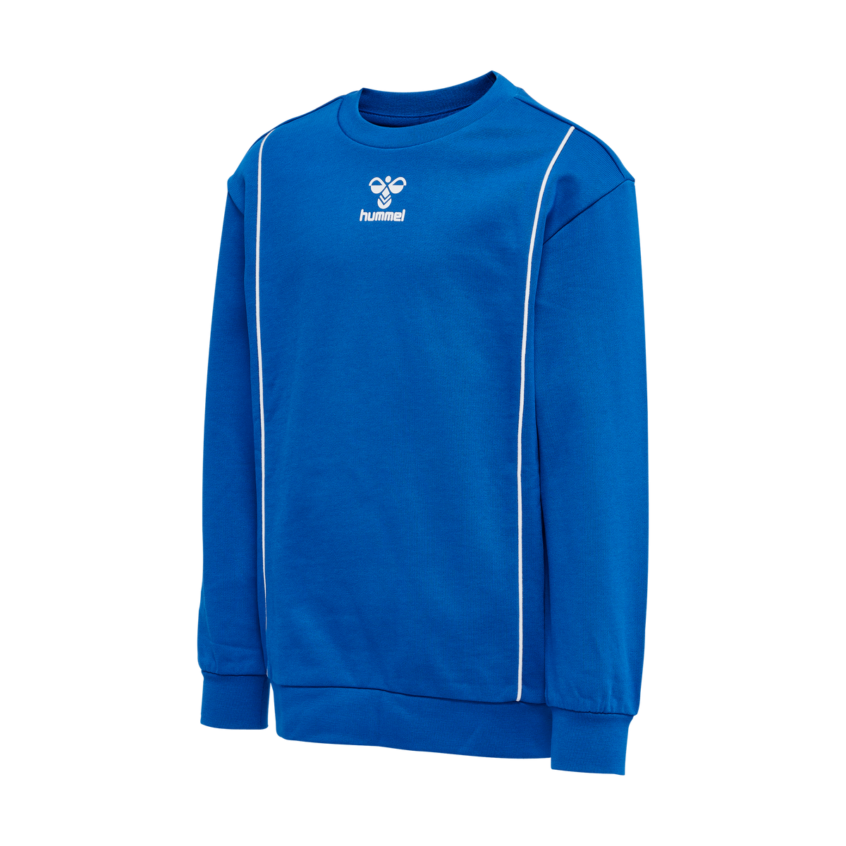 hummel Youth Ditmer Sweatshirt-1