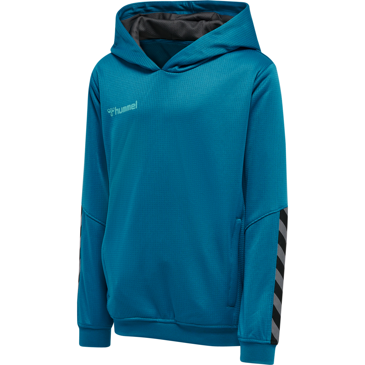 hummel Youth Authentic Poly Hoodie-1