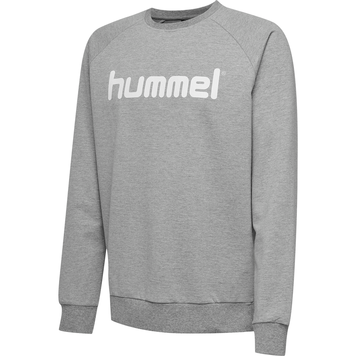 hummel Youth Go Cotton Logo Sweatshirt-1
