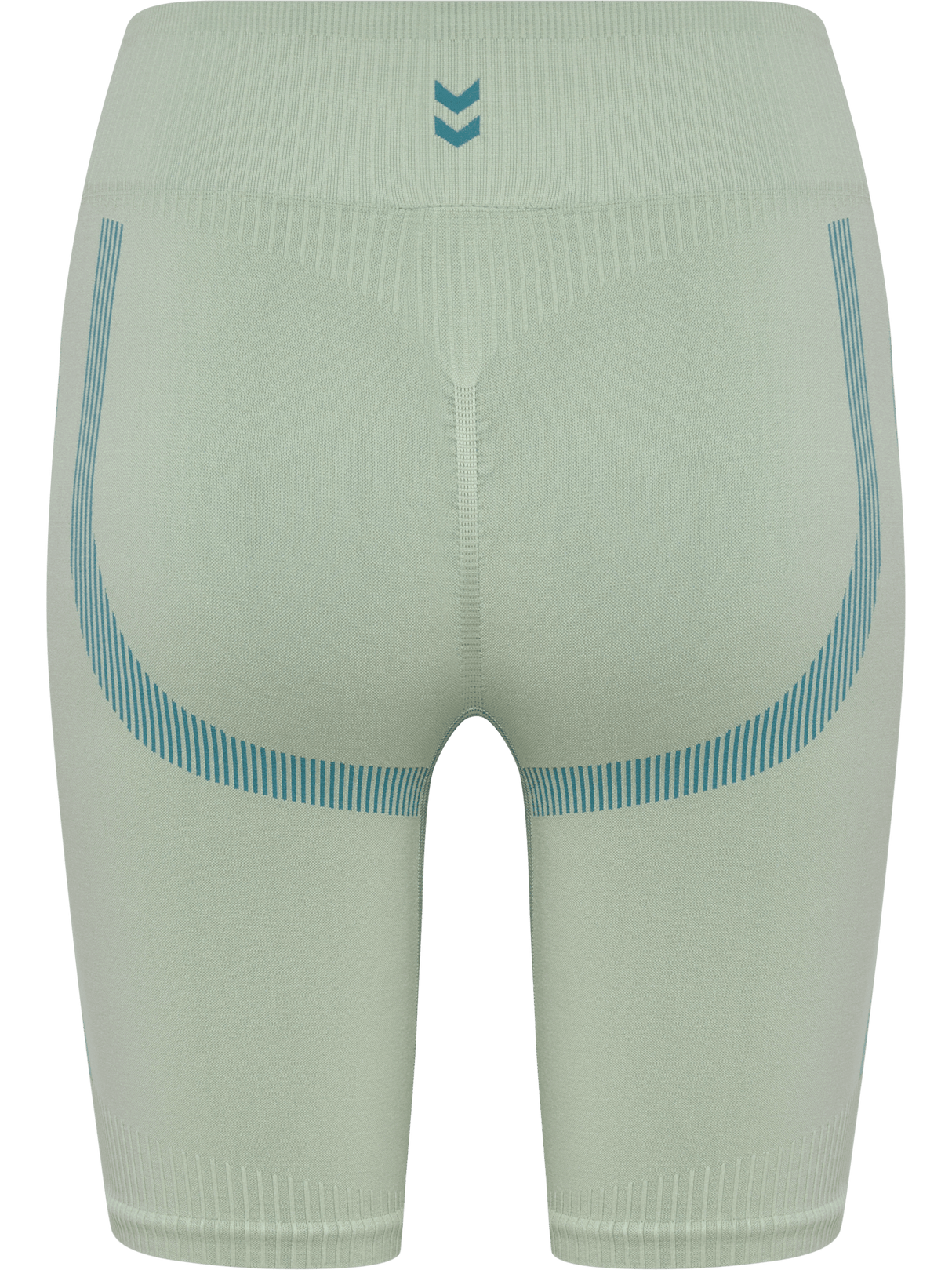 hummel Women's HIIT Seamless Shorts Tights-2
