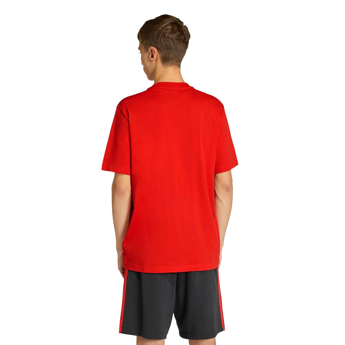 adidas Men's Belgium Dna Graphic T-Shirt-3